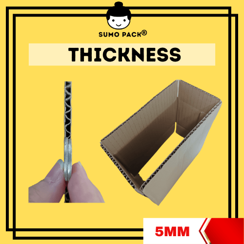Carton Box 30cmx30cmx10cm (C3030) - 100Pcs - Johor