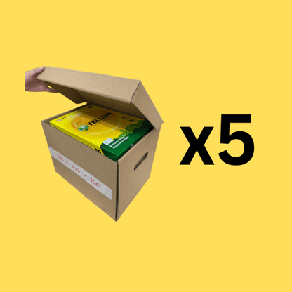 Document File Storage Box 340 x 250 x 260mm