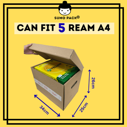 Document File Storage Box 340 x 250 x 260mm