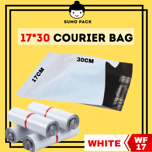 Courier Bag 170mm X 300mm